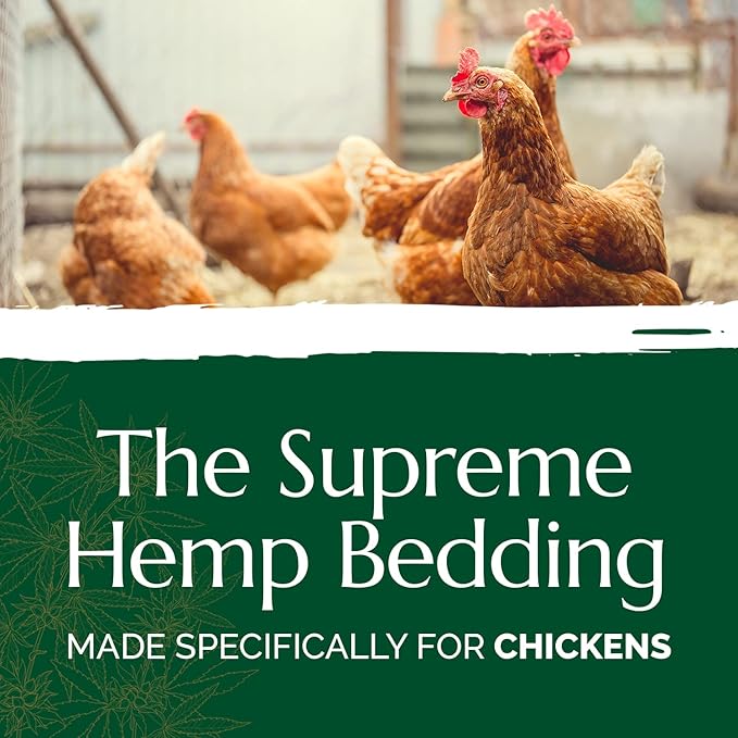 AubiChick High Grade French Hemp Bedding, 44lb (400L) Jumbo Bulk Bag for Chickens, Ultra Absorbent, Designed for Chicken Coop Bedding and Comfort of Birds, Poultry, Hairless Pets, Easy Manure Removal