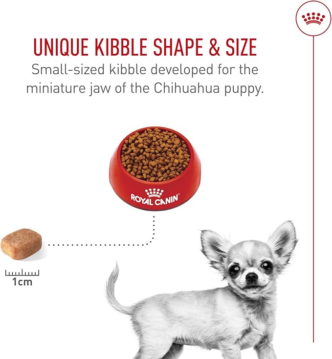 Royal Canin Breed Health Nutrition Chihuahua Puppy Dry Dog Food, 2.5 lb Bag