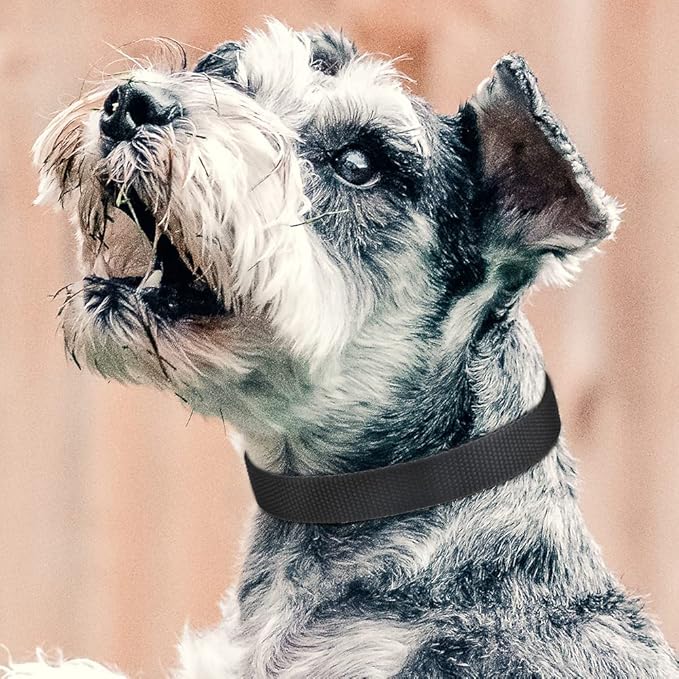 PetJoy Reflective Nylon Dog Collars, Replacement Collar for Shock Collar, Adjustable Classic Dog Collar Strap for Small Medium Large Dogs (Black & Red)