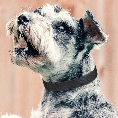 PetJoy Reflective Nylon Dog Collars, Replacement Collar for Shock Collar, Adjustable Classic Dog Collar Strap for Small Medium Large Dogs (Black & Red)