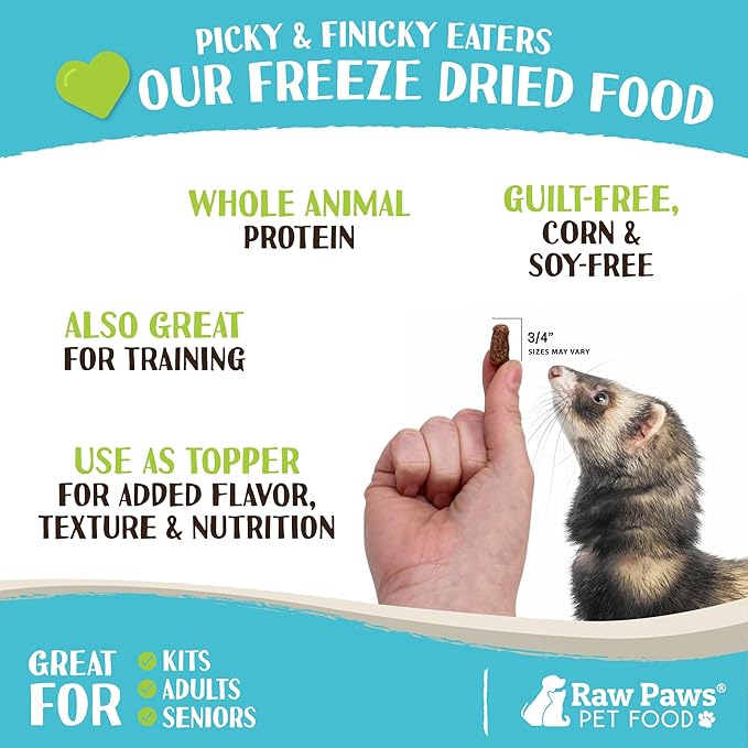 Raw Paws Freeze Dried Ferret Food - Beef Recipe, 16-oz - Made in USA - Grain Free Ferret Diet for Small, Adult, Senior & Baby Ferrets - Natural Ferret Treats for Rewarding & Training - Ferret Food Dry