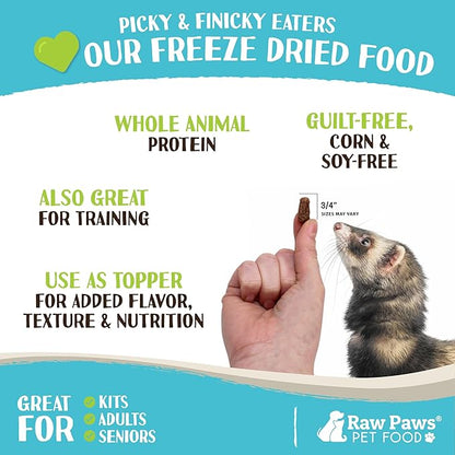 Raw Paws Freeze Dried Ferret Food - Beef Recipe, 16-oz - Made in USA - Grain Free Ferret Diet for Small, Adult, Senior & Baby Ferrets - Natural Ferret Treats for Rewarding & Training - Ferret Food Dry
