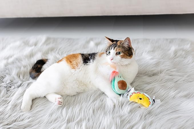 Pearhead Pet Crinkle, Feather, Catnip, and Teaser Taco Time Cat Toy Set, Owner Playtime Accessory, Must Have Kitten Accessories