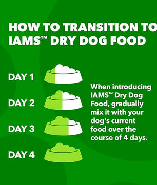 IAMS Proactive Health Minichunks Adult Dry Dog Food with Lamb & Rice, 15 lb. Bag