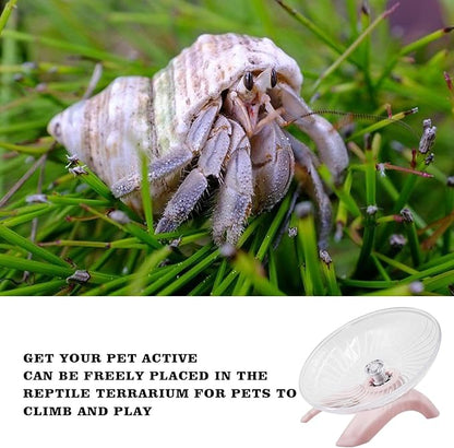 Hermit Crabs Wheel Toy, Hamster Running Wheel Toys, Small Animals Cage Accessory, Tank Accessory, Suitable for Hermit Crab Hamster Rat