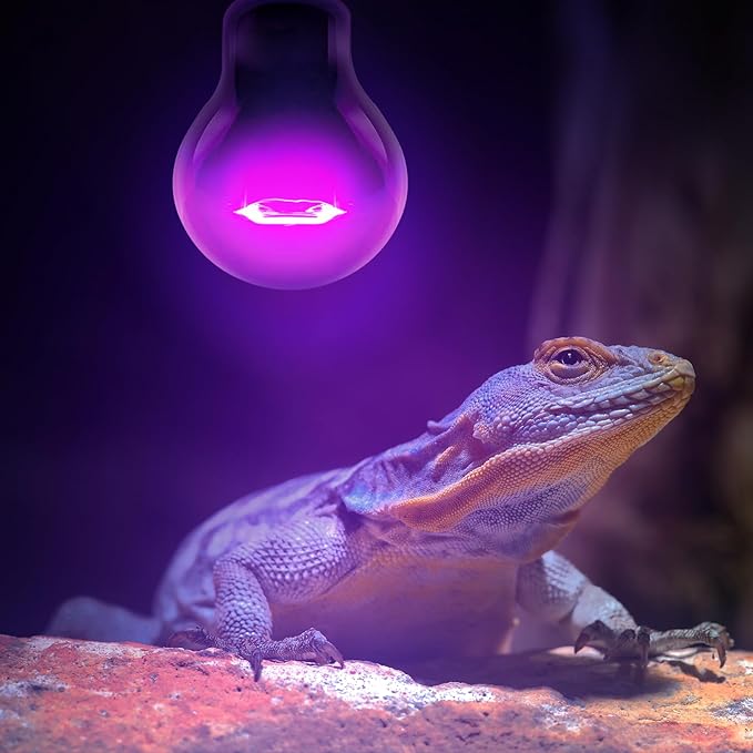 Leoterra 100W Reptile Tank Use Incandescent Night Black Heat Bulbs and 100w UVA Heat Lamp Bulbs Combo Pack E26 Base 110v Heat Lamp Bulbs for Leopard Gecko Bearded Dragon Heat lamp Long Service Life…