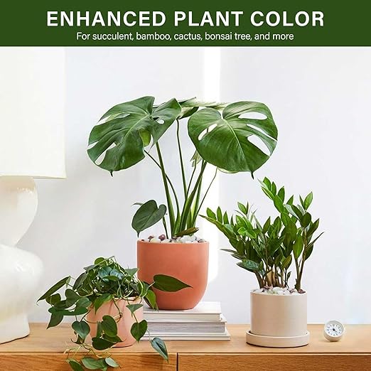 NUPICK 3 lbs Pebbles for Indoor Plants, 3/8 Inch Pea Gravel for Fish Tank, Polished Decorative Rocks for Succulent, Natural River Stones for Vases, Cactus, Landscaping, Bird Bath, Aquarium, Colorful