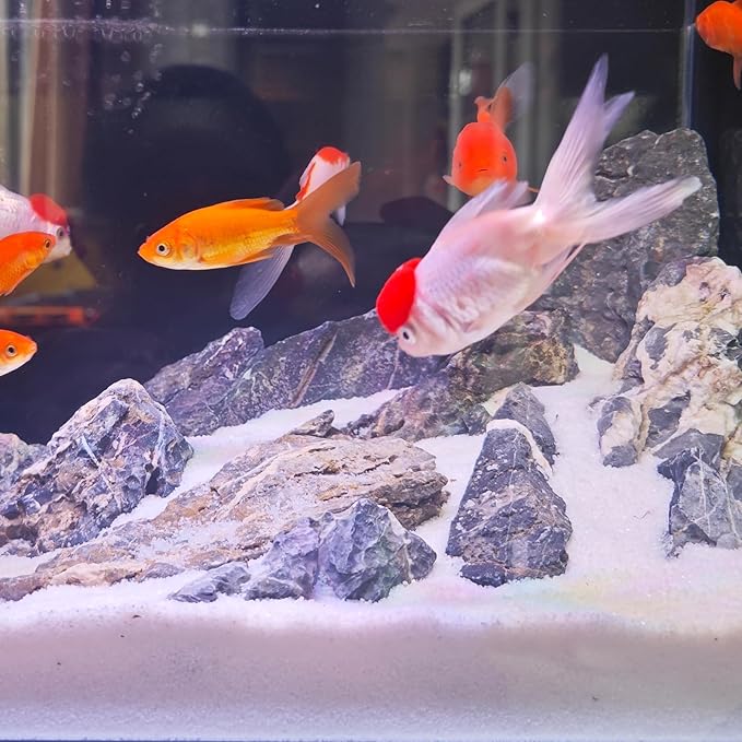 Aquarium Sand, 5lbs White Fish Tank Sand, Aquarium Gravel Substrate for Aquascaping, Vivariums, Terrariums, Plants and Crafts