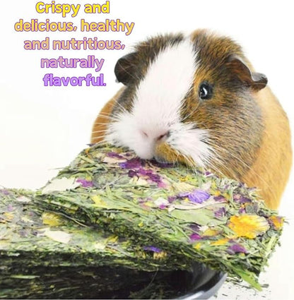 Bunny Toys 10 Pieces Chew Toys Teether Totoro Dutch Pig Guinea Pig with Flower Timothy Grass Snack (Medium)