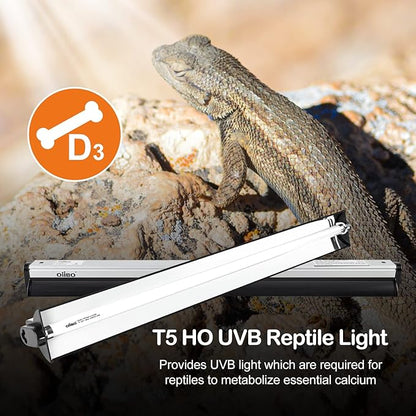 Oiibo T5 UVB Reptile Lighting Combo Kit, Reptile Light Fixture with Desert 12.0 UVB Bulb High Output T5 HO UVB Reptile Light with Detachable Curved Reflector(24W)