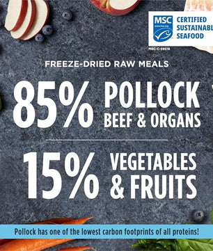 Instinct Freeze Dried Raw Meals, Natural Dry Dog Food, Grain Free - Wild Caught Pollock, 24 oz. Bag