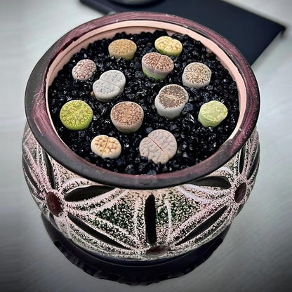 Aquarium Sand, 2lbs Black Fish Tank Sand, Aquarium Gravel Substrate for Aquascaping, Vivariums, Terrariums, Plants and Crafts