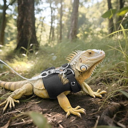 Black Bearded Dragon Leash and Harness Set, 3 Size Easy Walk Bearded Dragon Harness, Adjustable Traction Rope Ferret Harness and Leash Set Cat Rat Accessories Stuff for Squirrel