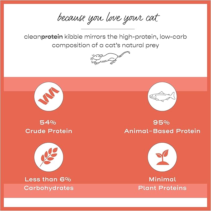 Dr. Elsey'S Cleanprotein Salmon Formula Dry Cat Food, 2 Pound (Pack of 1)