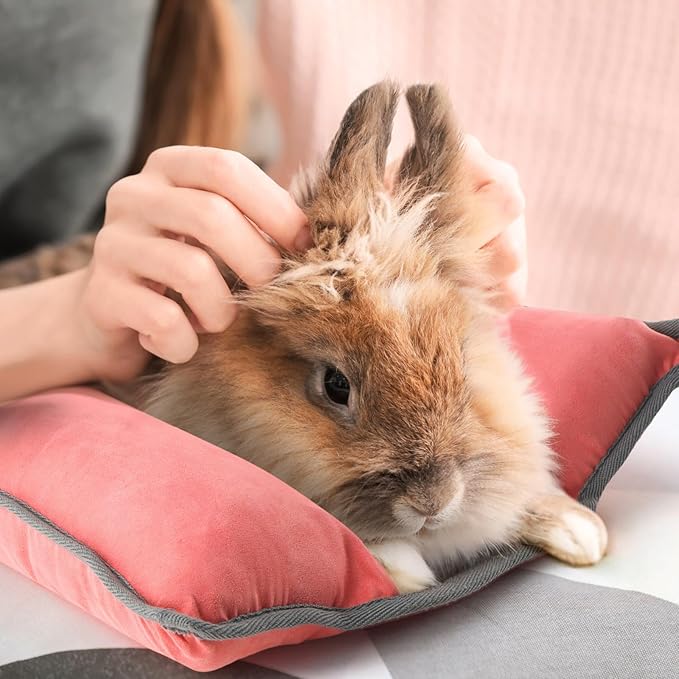 Rabbit Bed, Washable Bunny Pillow, Reversible Lounger Pad, Soft Small Animal Bedding, Stress Relief Pet Mat for Kittens, Guinea Pigs, Puppies