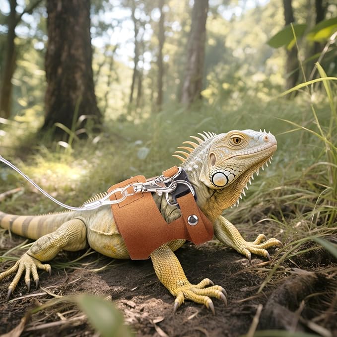 Brown Bearded Dragon Leash and Harness Set, 3 Size Easy Walk Bearded Dragon Harness, Adjustable Traction Rope Ferret Harness and Leash Set Cat Rat Accessories Stuff for Squirrel