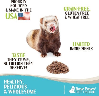 Raw Paws Freeze Dried Ferret Food - Beef Recipe, 16-oz - Made in USA - Grain Free Ferret Diet for Small, Adult, Senior & Baby Ferrets - Natural Ferret Treats for Rewarding & Training - Ferret Food Dry