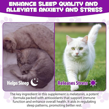 Melatonin for Cats - Cat Calming Treats- Cat Sedative for Grooming - Helps to Support Restful Sleep for Your Cat - Cat Sleep Aid - Anxiety Relief for Cats