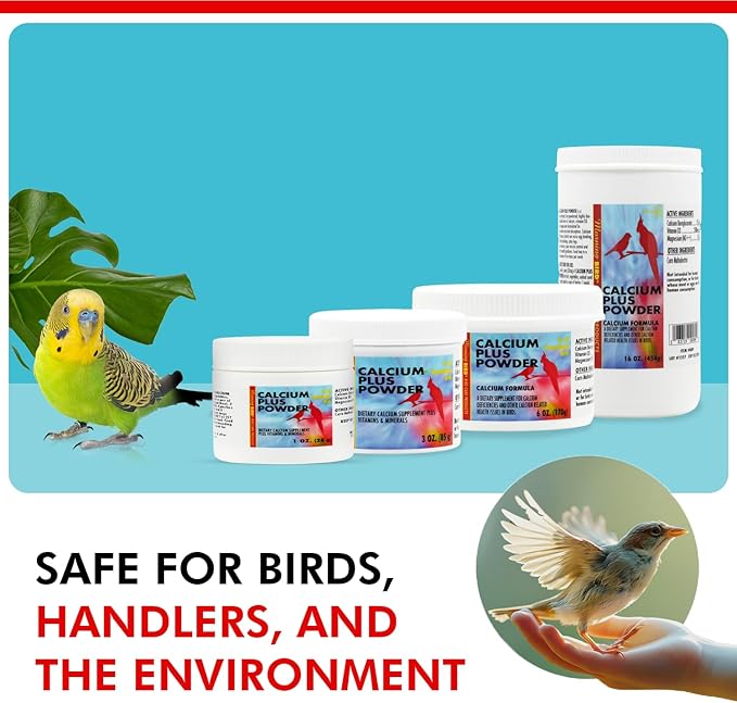 Morning Bird Calcium Plus Powder for Birds 16 oz – Calcium Carbonate Powder with Magnesium Glycinate & Vitamin D – Bone Strength & Immune Support Supplement – Calcium Formula for All Bird Sizes