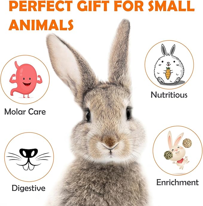 Sofier 16pcs Timothy Hay Treats Rabbit Toys Natural Treats for Guinea Pig Bunny Hamster Chinchilla Rat Handmade Rabbit Chews for Teeth