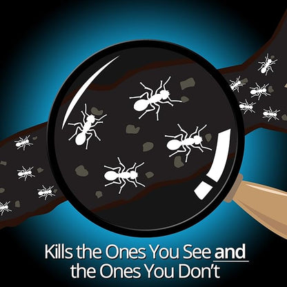 Combat Indoor and Outdoor Ant Killing Gel, 27 Gram