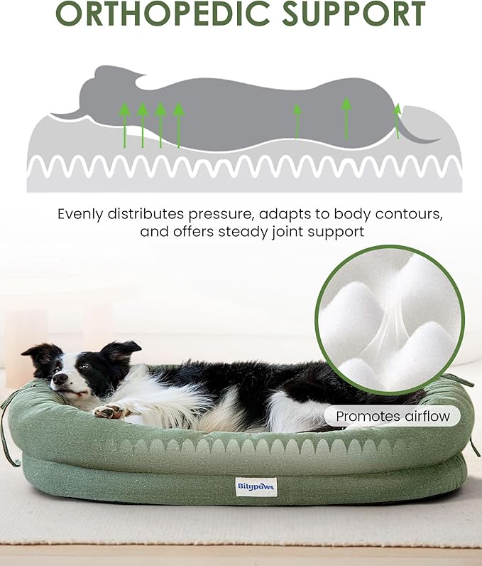 Orthopedic Dog Bed for Large Dogs, Pet Sofa Bed with Egg Crate Foam, 4-Sided Bolster, Removable Washable Cover & Anti-Slip Bottom, Large Calliste Green