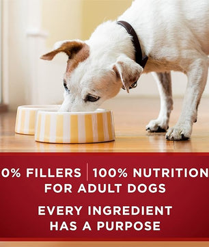 Purina ONE High Protein Wet Dog Food True Instinct Tender Cuts in Dog Food Gravy With Real Beef and Bison - (Pack of 12) 13 oz. Cans