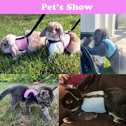 Ferret Harness and Leash Set,Small Rabbit Harness Leash Bunny Walking Training for Rat Guinea Pig Hamster Squirrel Ferret Small Animal Pets Harness,Red M
