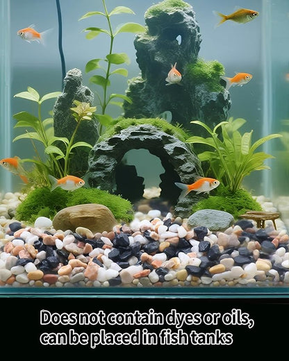 6LB Succulent & Cactus Gravel Pebbles,1/4-3/8 Inch Natural Polished River Rocks Decorative Stones for Succulent Planters,Cactus Pots,Vases,Aquariums,Outdoor Gardening Mixed Colors