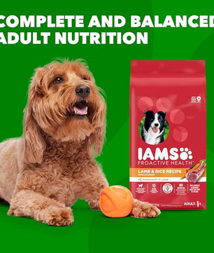 IAMS Proactive Health Minichunks Adult Dry Dog Food with Lamb & Rice, 30 lb. Bag