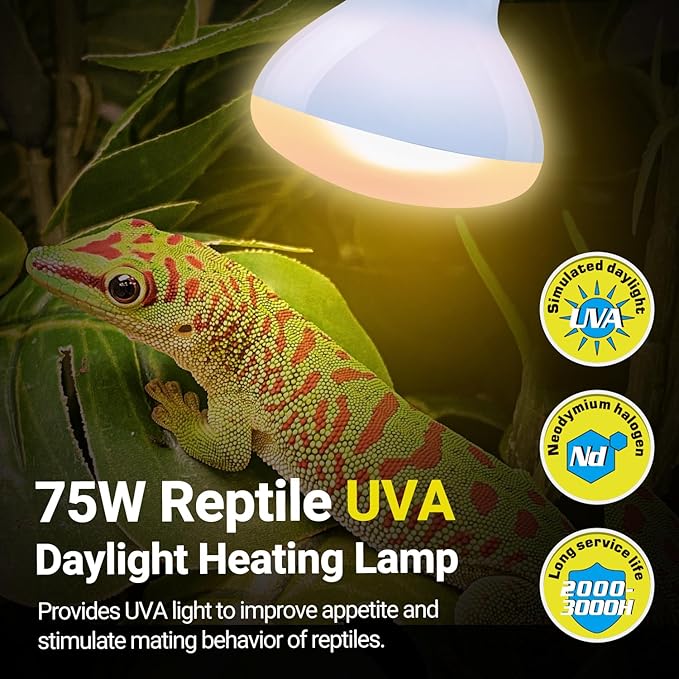 REPTI ZOO 75W Reptile Heat Lamp Combo Pack, 2PCS Day & Night Basking Spot Light, UVA Daylight Heating Lamp Basking Bulb and Infrared Heat Emitter Red Heat Lamp