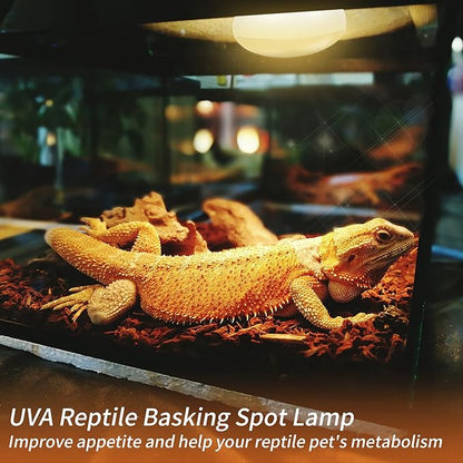 New Upgrade Reptile Heat Lamp Bulb (3rd Gen No Broken), 75W 2 Pack Basking Spot Light for Reptiles & Amphibians,UVA Daylight Heat Bulb for Bearded Dragon, Turtle