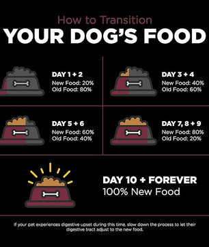 Go! Solutions Sensitivities Limited Ingredients, Grain-Free Dry Dog Food, Lamb Recipe for Sensitive Stomach, 12 lb Bag