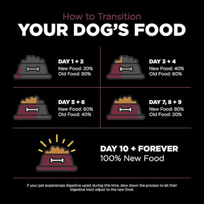 Go! Solutions Sensitivities Limited Ingredients, Grain-Free Dry Dog Food, Lamb Recipe for Sensitive Stomach, 12 lb Bag