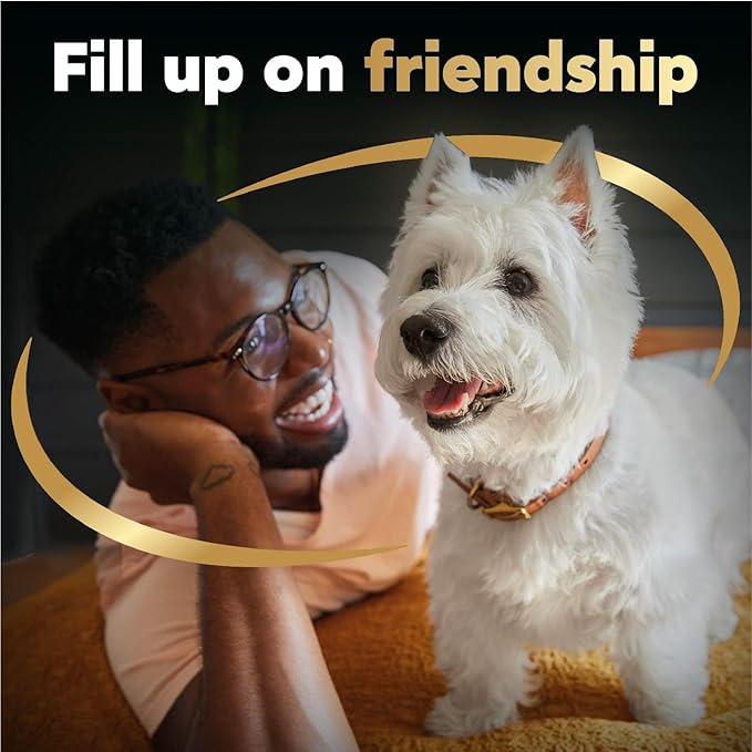 Cesar Filets in Gravy Wet Dog Food Filet Mignon Flavor, 1.76 oz. Mini-Pouch (20 Count, Pack of 1)