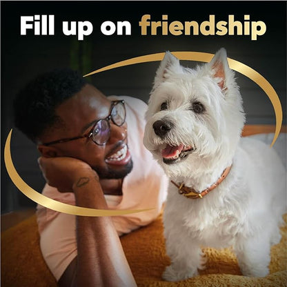 Cesar Filets in Gravy Wet Dog Food Wood-Grilled Chicken Flavor, 1.76 oz. Mini-Pouch (20 Count, Pack of 1)