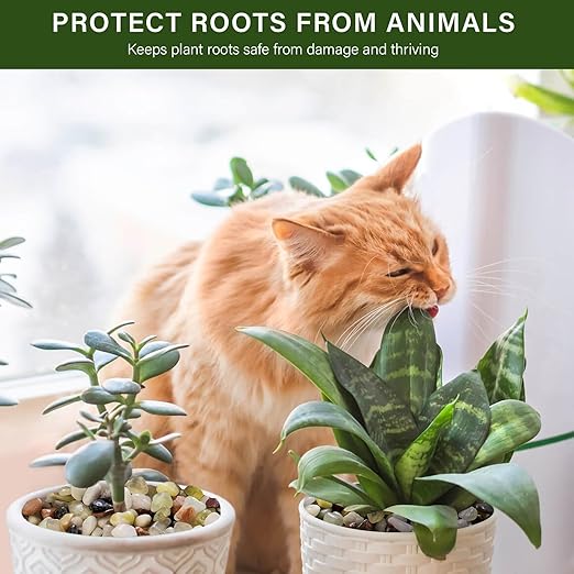 NUPICK 6 lbs Pebbles for Indoor Plants, 3/8 Inch Pea Gravel for Fish Tank, Polished Decorative Rocks for Succulent, Natural River Stones for Vases, Cactus, Landscaping, Bird Bath, Aquarium, Colorful