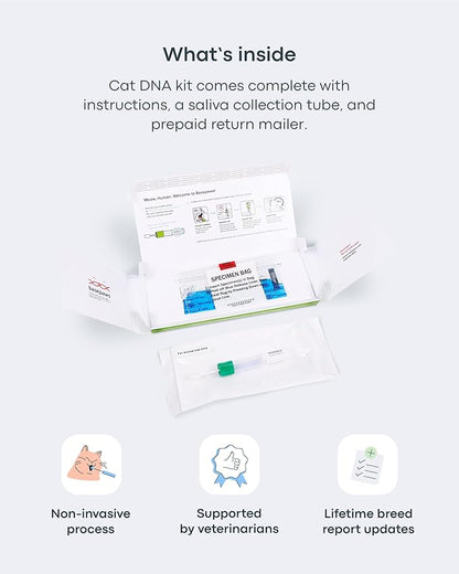 Basepaws Cat Dental Health Test | Provides Risk Scores for Oral Conditions: Periodontal Disease, Bad Breath, Tooth Resorption | Report Includes Personalized Care Recommendations