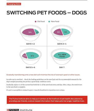 Purina ONE High Protein Wet Dog Food True Instinct Tender Cuts in Dog Food Gravy With Real Beef and Bison - (Pack of 12) 13 oz. Cans