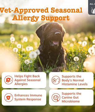 Zesty Paws Vet Strength Dog Allergy Relief Chews, Dog Probiotics for Itchy Skin and Ears, Smoked Cheese, 90ct