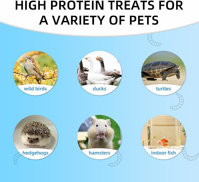 I LOVE WORMS Dried Black Soldier Fly Larvae (10lb), 100% Natural Non-GMO, Treat for Chickens, More Calcium Chicken Feed Than Mealworms