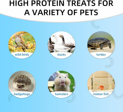 I LOVE WORMS Dried Black Soldier Fly Larvae (10lb), 100% Natural Non-GMO, Treat for Chickens, More Calcium Chicken Feed Than Mealworms