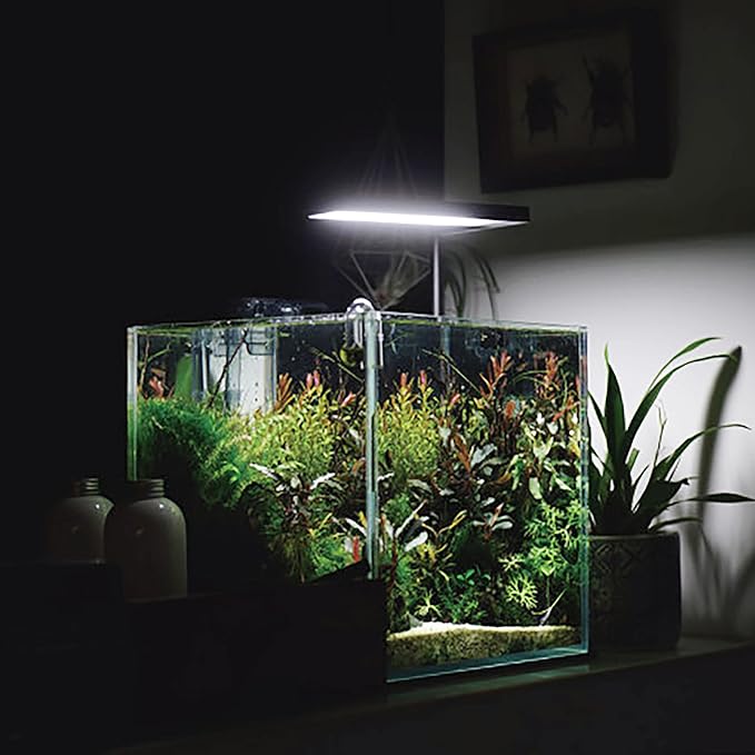 Ultra Clear Rimless Aquarium Tank 6-60 gallons Low Iron Glass (7Gal - Top Glass Canopy)