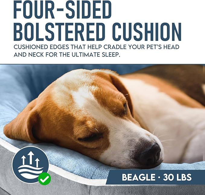 OhGeni Orthopedic Dog Couch Pet Sofa Large Sized Cat Beds with Comfort Foam Support, Soft Comfortable Fabric, Machine Washable Waterproof Removable Cover, 35-Inch (Washed Blue)