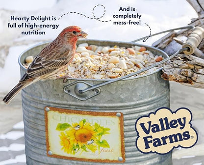 Valley Farms Hearty Delight 4 LB 2-Pack (8 LB Total) Wild Bird Food for Outside Feeders, No-Mess Wild Bird Seed with Sunflower Hearts & Peanut Kernels, No Fillers, Perfect for Outdoor Patios
