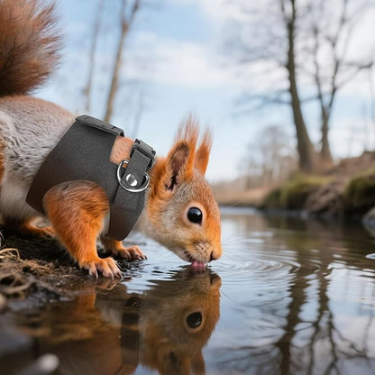 Black Bearded Dragon Leash and Harness Set, 3 Size Easy Walk Bearded Dragon Harness, Adjustable Traction Rope Ferret Harness and Leash Set Cat Rat Accessories Stuff for Squirrel