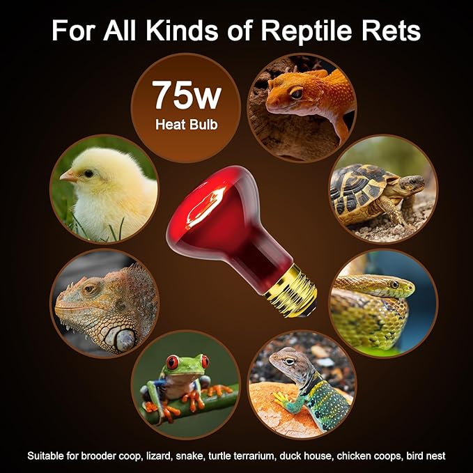 Reptile Heat Lamp Bulb 75W 2PCS, Infrared Heat Emitter Red Heat Lamp for Reptile Amphibian, Infrared Basking Spot Light Bulb