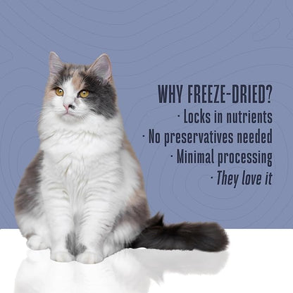 Whole Life Cat Just One Tuna Freeze Dried Cat Treats - Human Grade High Protein Food, Healthy Training Snacks, Freeze Dried Tuna Food Toppers, USA Made Natural Treats - 7.5 oz (Pack of 1)