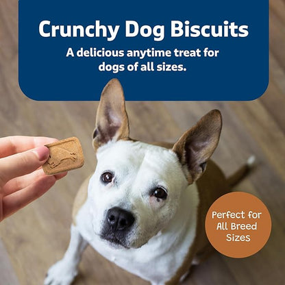 Blue Buffalo Health Bars Crunchy Dog Biscuits, Oven-Baked With Natural Ingredients, Pumpkin & Cinnamon, 16-oz Bag