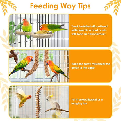 KATUMO Spray Millet for Birds, 2.0LB / 910g Natural Sun-Dried Millet Spray Bird Treats Parakeet Food for Cockatiels Conures Parrots Hamsters Finches